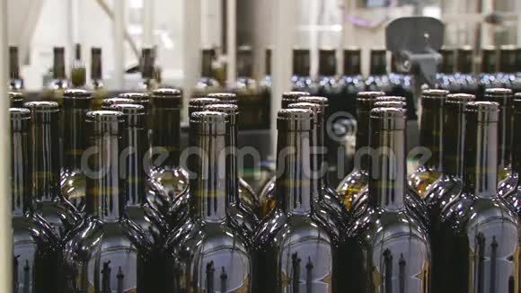装瓶葡萄酒生产线视频的预览图