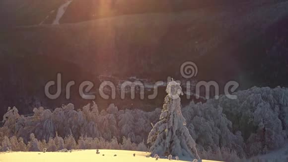 阳光照耀下美丽的冬山景观视频的预览图
