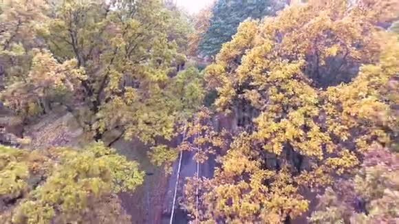 飞越秋天公园视频的预览图