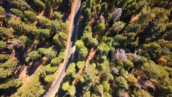 从上面鸟瞰红杉国家公园森林视频的预览图