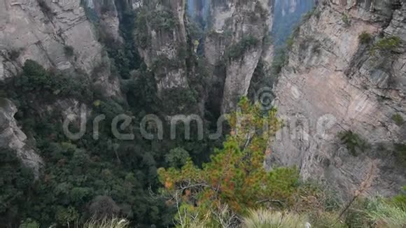 中国湖南张家界国家公园的岩山视频的预览图