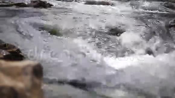 河流视频的预览图