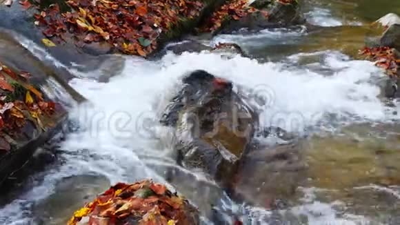 在美丽的晴天秋天的森林里有瀑布的山河视频的预览图