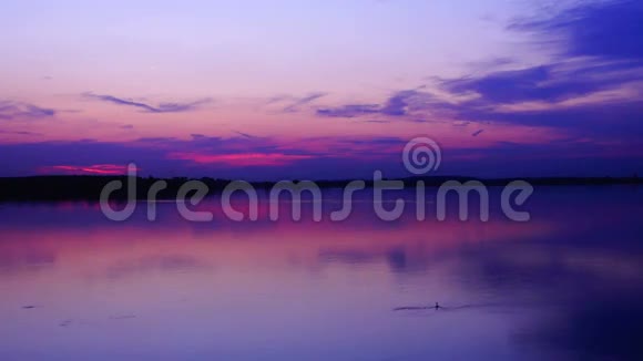 九月美丽的日落湖上飞鸟视频的预览图