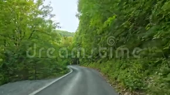 路在秋林中普利特维国家公园普利特维卡耶泽拉克罗地亚4k视频的预览图
