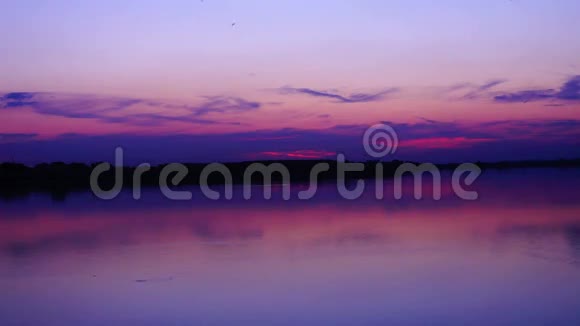 九月美丽的日落湖上飞鸟视频的预览图