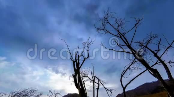 死亡树和枯黄的草在云和太阳光线的蒙天景观的时间流逝水平滑块运动视频的预览图