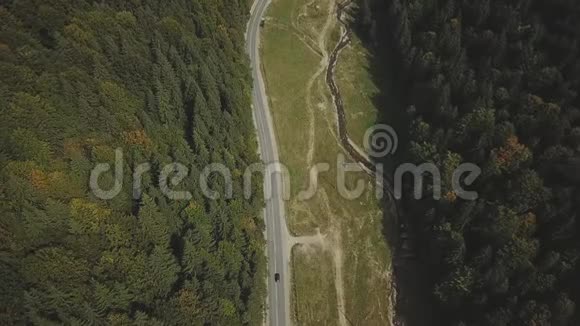 空中观车骑在路上的针叶林中的群山罗马尼亚夏季的公路旅行视频的预览图