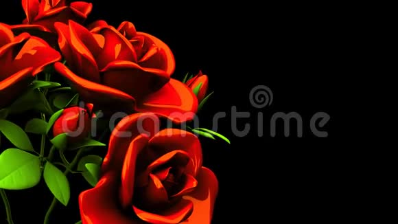 黑色文字空间的红玫瑰花束视频的预览图