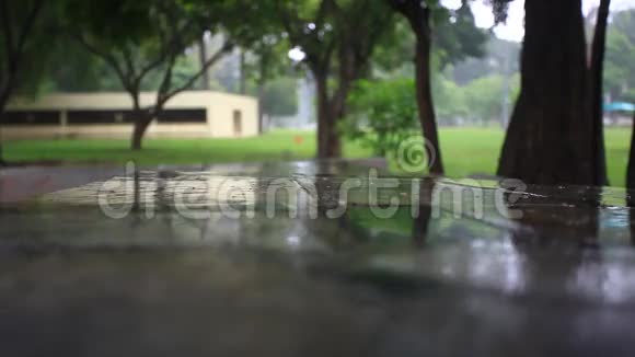 雨中的绿色公园泰国曼谷高清高清视频的预览图