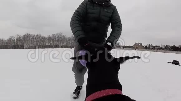 在雪地里训练和玩狗视频的预览图