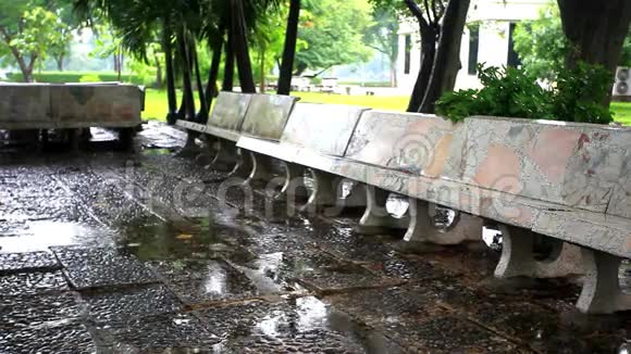雨中的绿色公园泰国曼谷高清高清视频的预览图