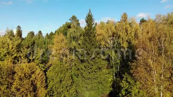 莫斯科生态清洁区与秋季森林的俯视图俄罗斯视频的预览图