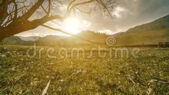 死亡树和枯黄的草在云和太阳光线的蒙天景观的时间流逝水平滑块运动视频的预览图