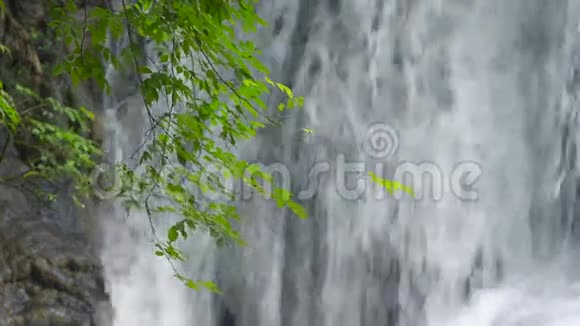 泰国的深热带瀑布视频的预览图