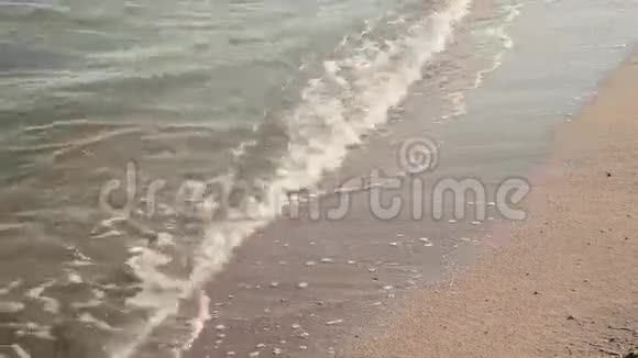 海面海滩视频的预览图