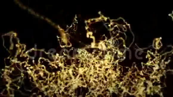 黄金粒子背景视频的预览图