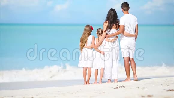 加勒比海海滩度假的年轻家庭视频的预览图