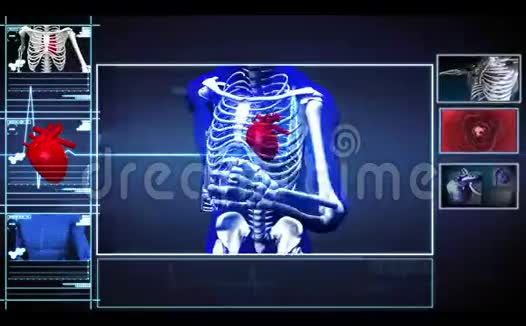 显示心脏和静脉内部运行骨架的界面视频的预览图