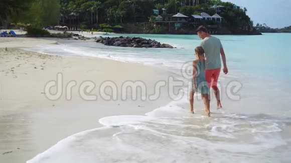 一家人在海滩上散步爸爸和孩子一起在海边视频的预览图