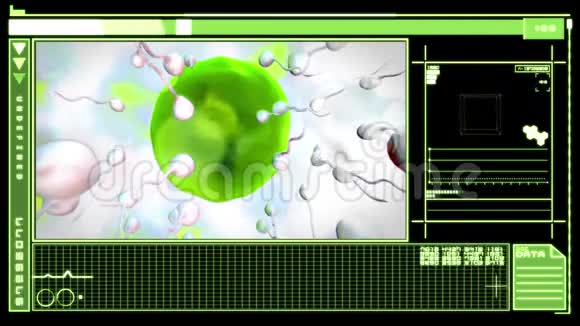 显示卵细胞受精的医学数字接口视频的预览图