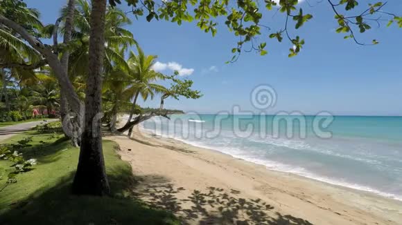 热带海滩视频的预览图