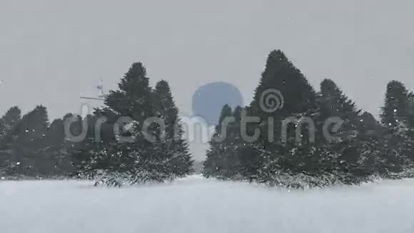 在下雪的时候卡车在树木之间的道路上疾驰视频的预览图