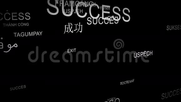 单词SUCCESS用不同的语言拼写视频的预览图