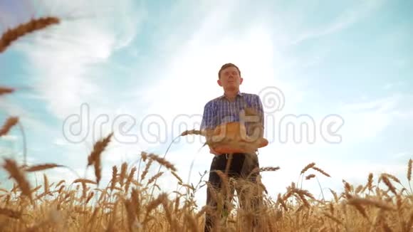老农夫剪影面包师拿着一个金色的面包和面包在成熟的麦田生活方式对抗蓝天慢慢慢慢视频的预览图