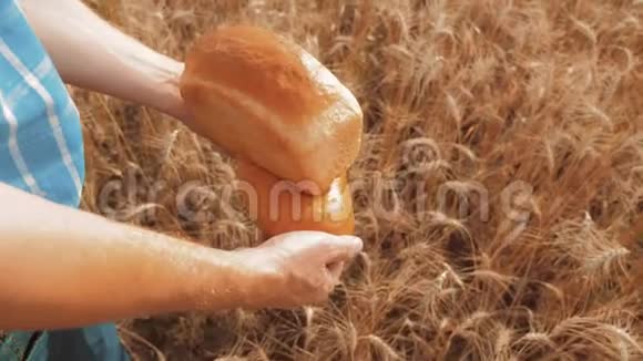 老农夫面包师拿着一个金色的面包和生活方式面包在麦田对抗蓝天慢速视频视频的预览图