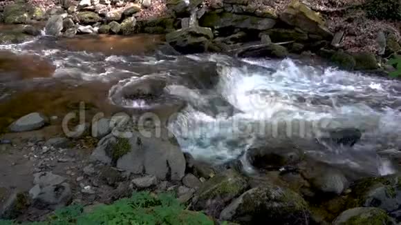 山区河流流经厚厚的绿色森林比斯特雷奇温特加斯洛文尼亚视频的预览图