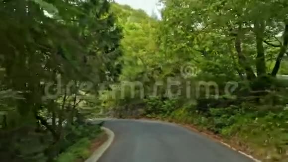 路在秋林中普利特维国家公园普利特维卡耶泽拉克罗地亚4k视频的预览图