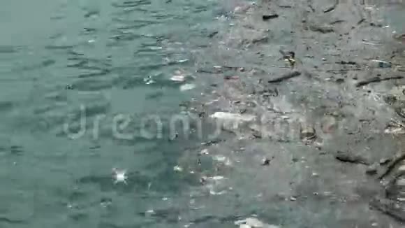 垃圾和漂浮在水面上的垃圾漂浮在海洋上的肮脏塑料垃圾造成的水污染视频的预览图