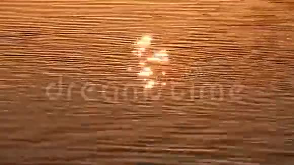 水面太阳反射视频的预览图