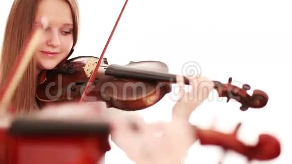 玩小提琴视频的预览图