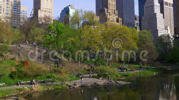 著名的纽约市中央公园夏日湖景4k美国视频的预览图