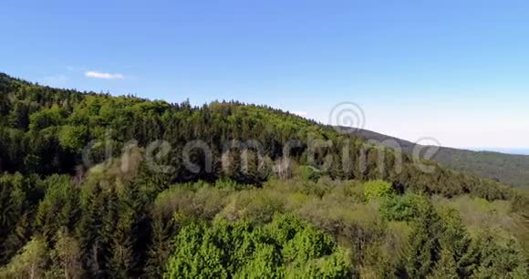 从上面的森林空中森林景观视频的预览图