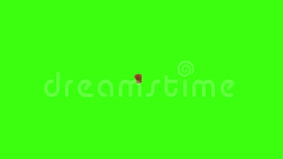 红血丝飞溅隔离绿屏视频的预览图