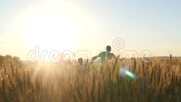幸福的一家人在夕阳下穿过麦田视频的预览图