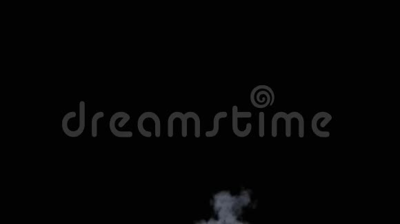 现实的干烟雾视频的预览图