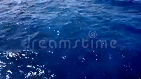 蓝色的海水视频的预览图