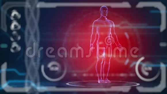 扫描仪人体未来派医学HUD监视器医学概念未来视频的预览图