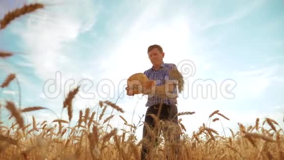 老农夫剪影面包师拿着一个金色的面包和面包在成熟的麦田对抗生活方式的蓝天慢慢慢慢视频的预览图
