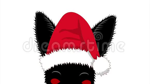 黑猫和圣诞帽偷吃圣诞贺卡视频的预览图