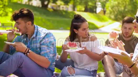 夏日野餐吃西瓜的快乐朋友视频的预览图