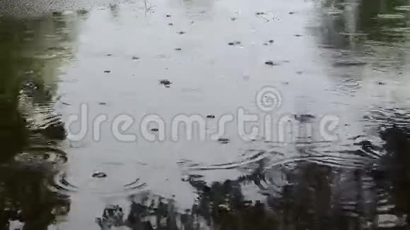 雨水掉落气泡视频的预览图