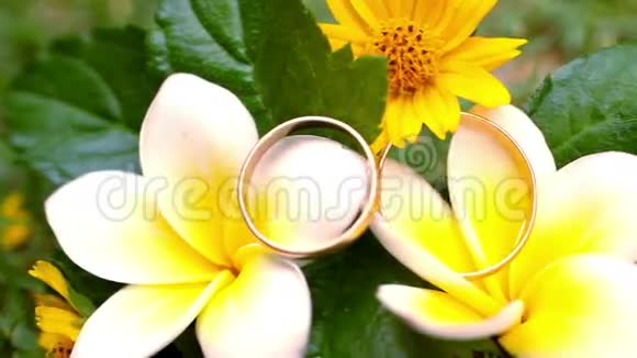 把结婚金戒指贴在泰式鲜花上视频的预览图