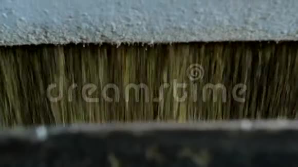 菜籽油的生产油籽在生产设备上的研磨工业种子加工科尔扎视频的预览图