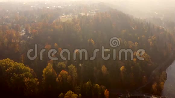 美丽的鸟瞰金色秋天在锡古尔达拉脱维亚视频的预览图