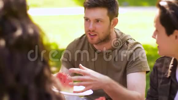 夏日野餐吃西瓜的快乐朋友视频的预览图